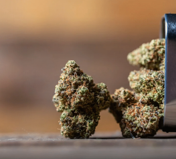 The Green Revolution of Dispensary Cannabis