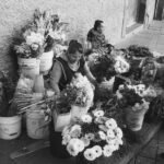 market intelligence data summary