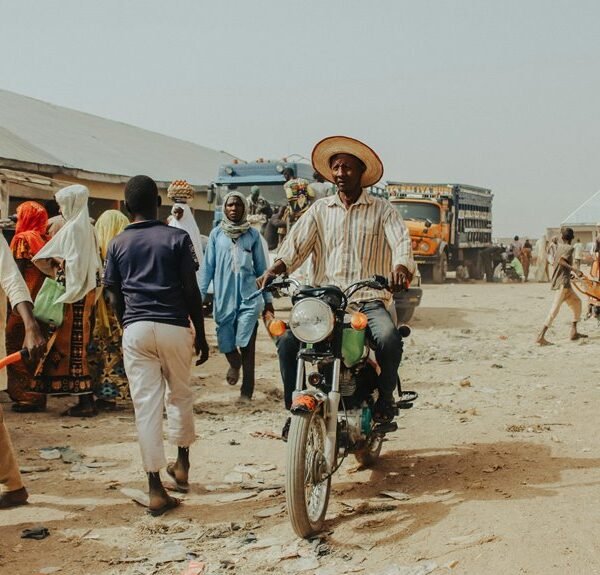 sector market activity overview