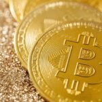 sector market conditions review