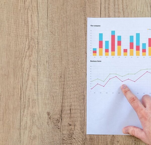 strategic business reference overview