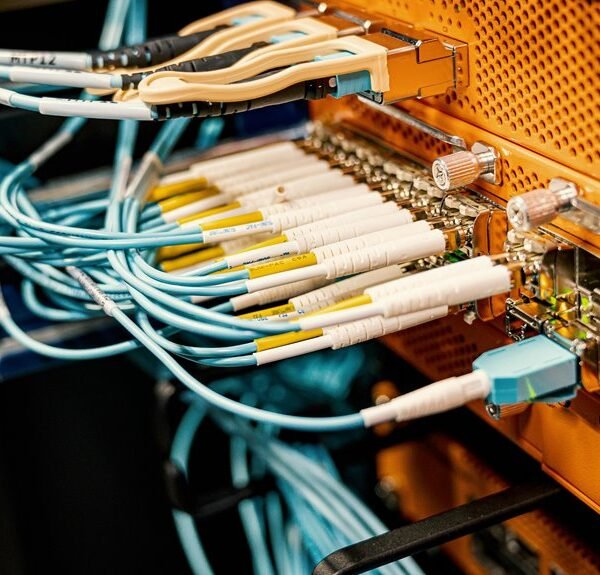 Professional Digital Network 363647546 for Expansion