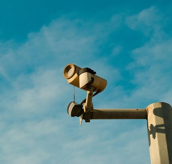 digital system for growth