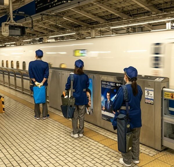 efficient online professional platform